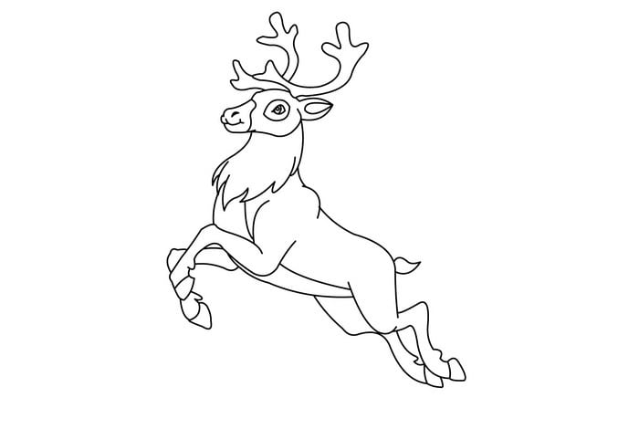 Reindeer