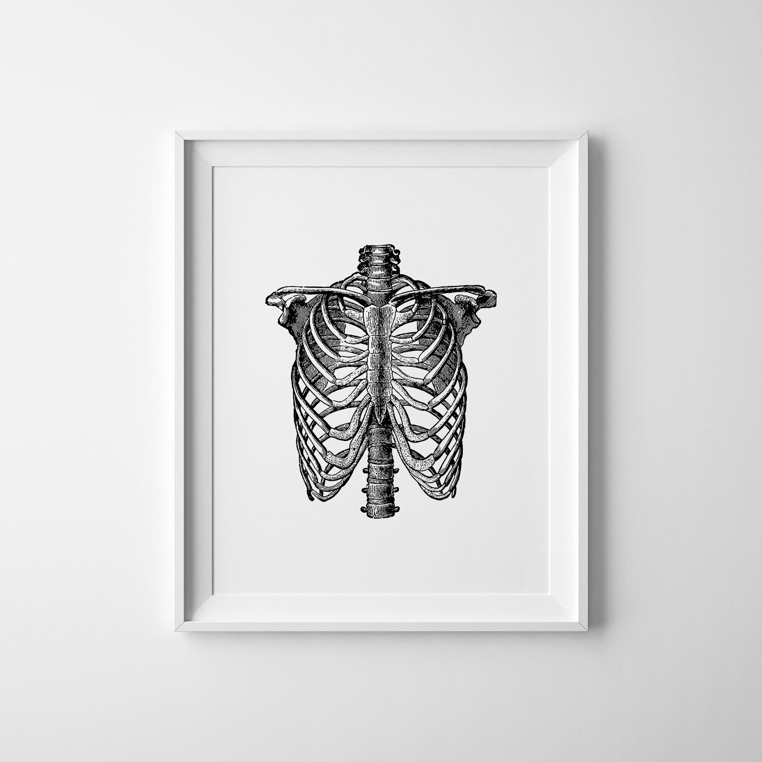 Rib cage printable