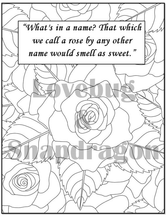 Romeo and juliet digital coloring book instant print pdf indoor activity art therapy coloring pages romance