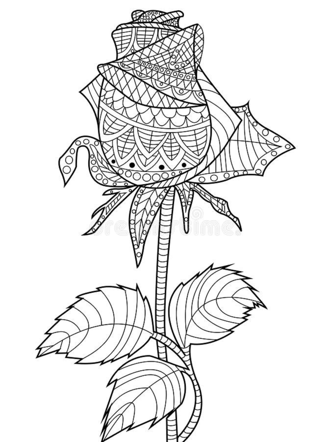 Rose mandala coloring page
