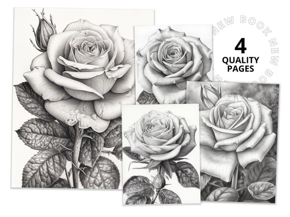 Breathtaking roses coloring book printable coloring page for adult coloring book digital download grayscale coloring page