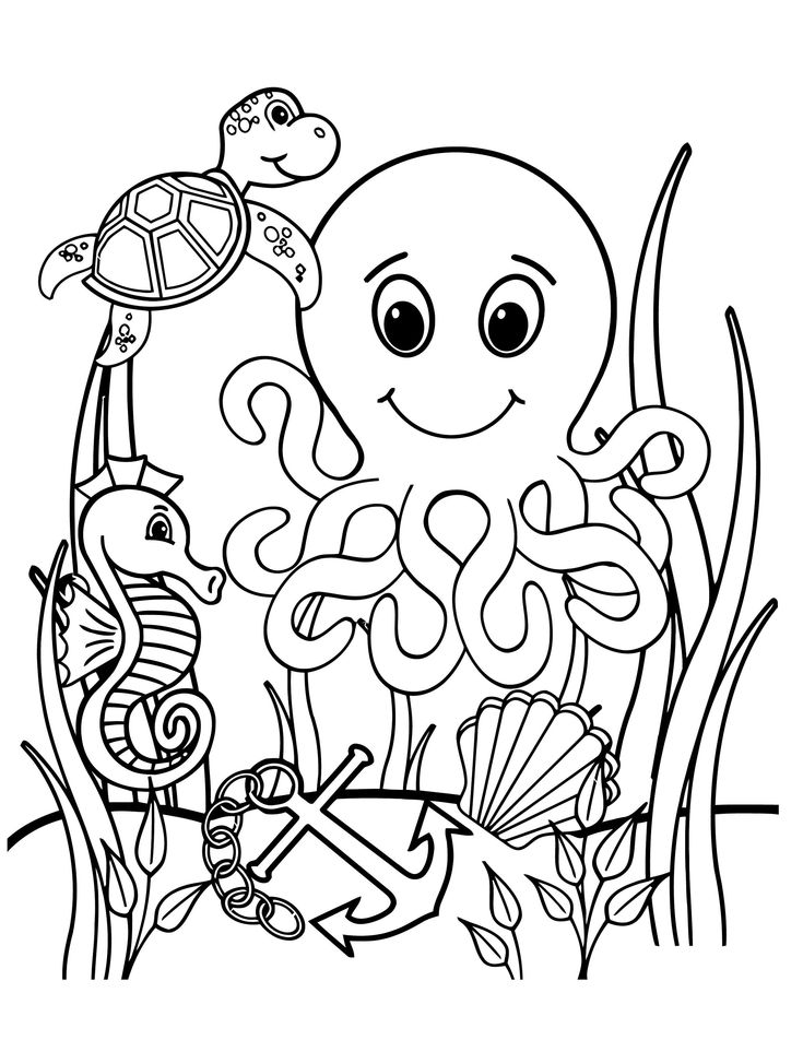 Printable sea animals coloring pages jpgpdf pg