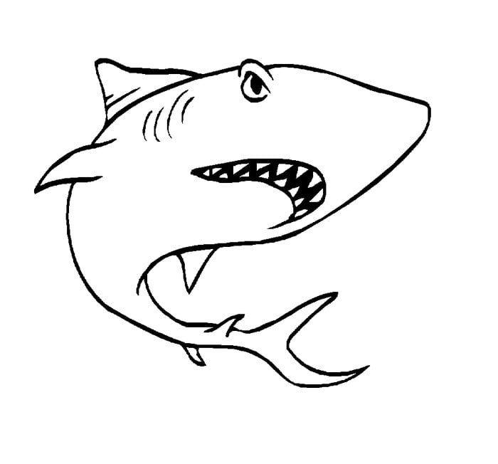Sea creature s