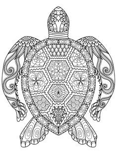 Sea turtle loring page for adults for free download turtle loring pages free adult loring pages mandala loring pages
