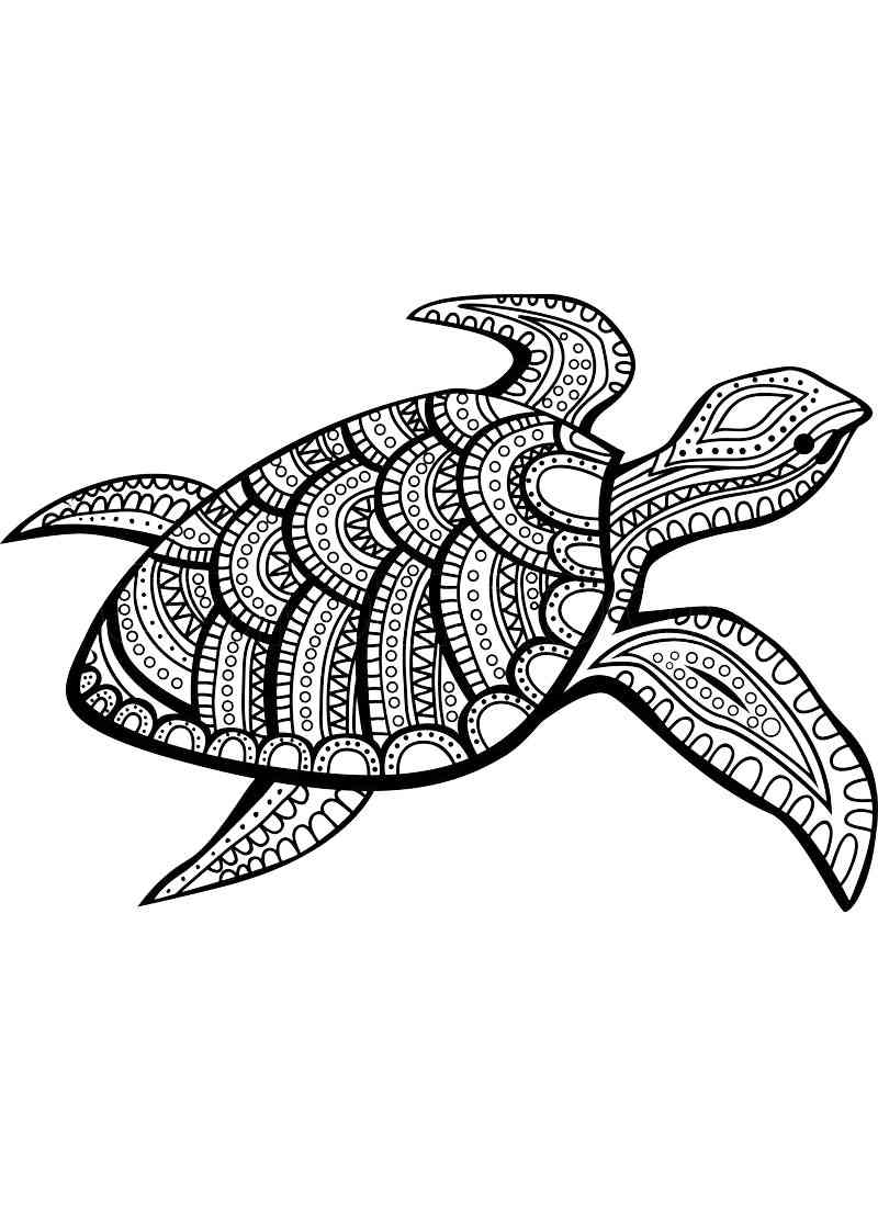 Turtle coloring pages for adults