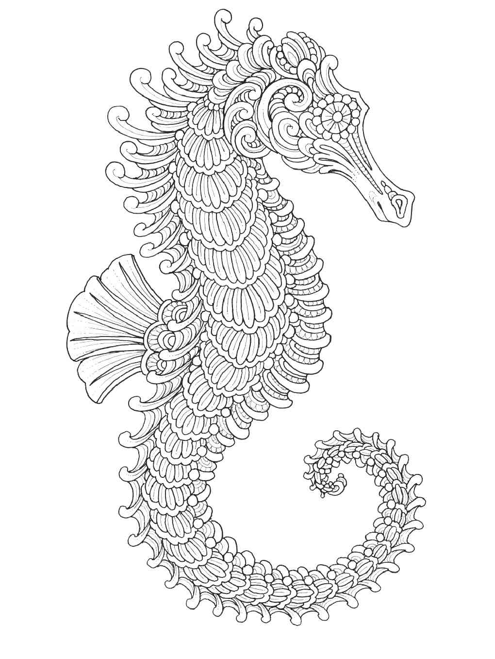 Seahorse coloring pages for adults