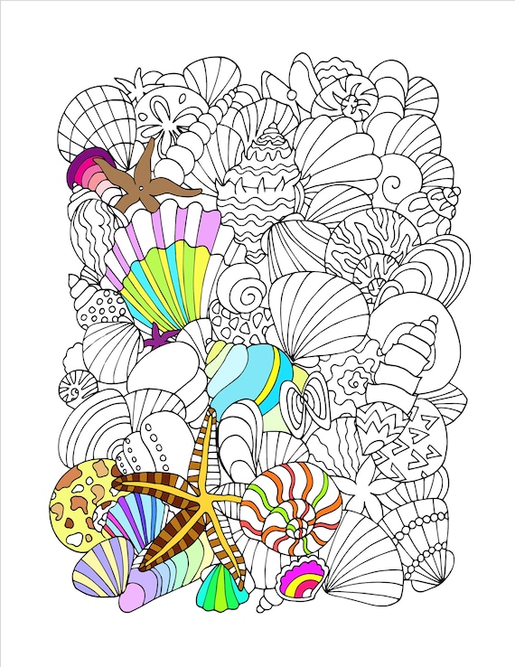 Printable seashells digital coloring page instant download