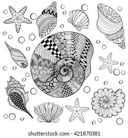 Sea shells zentangle shell adult coloring stock illustration