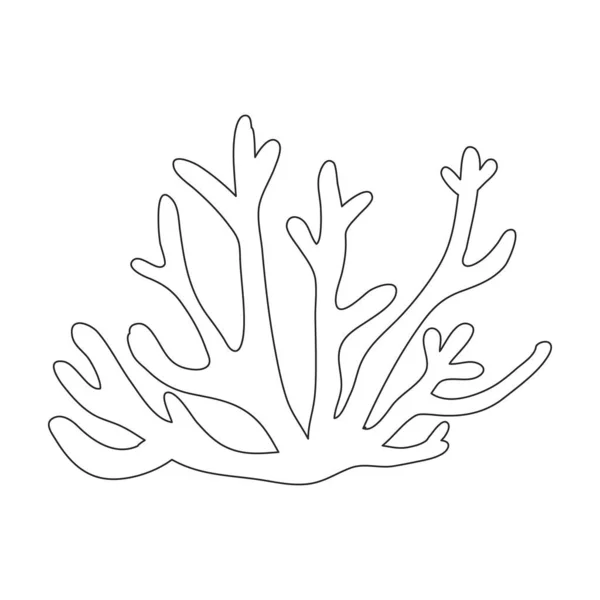 Seaweed coloring pages vector images