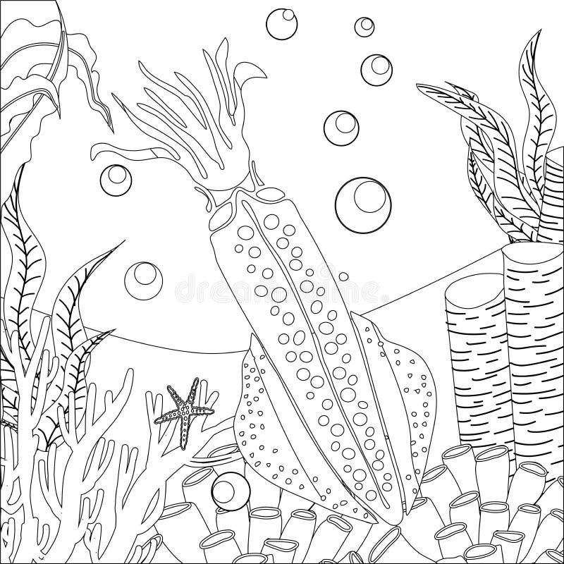 Squid coloring page stock illustrations â squid coloring page stock illustrations vectors clipart