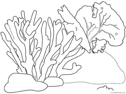 Seaweed coloring gãrselde bin gãrsel bulundu