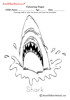 Sea animals colouring pages