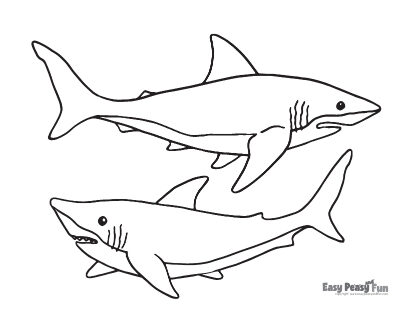 Shark coloring pages