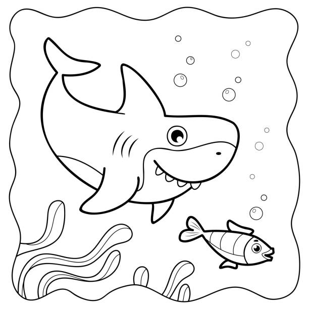 Shark coloring pages stock illustrations royalty