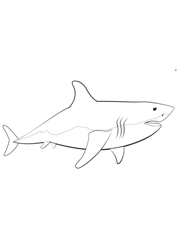 Coloring pages printable shark coloring pages for kids