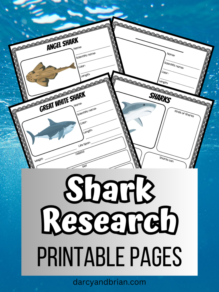 Printable shark research worksheets for kids
