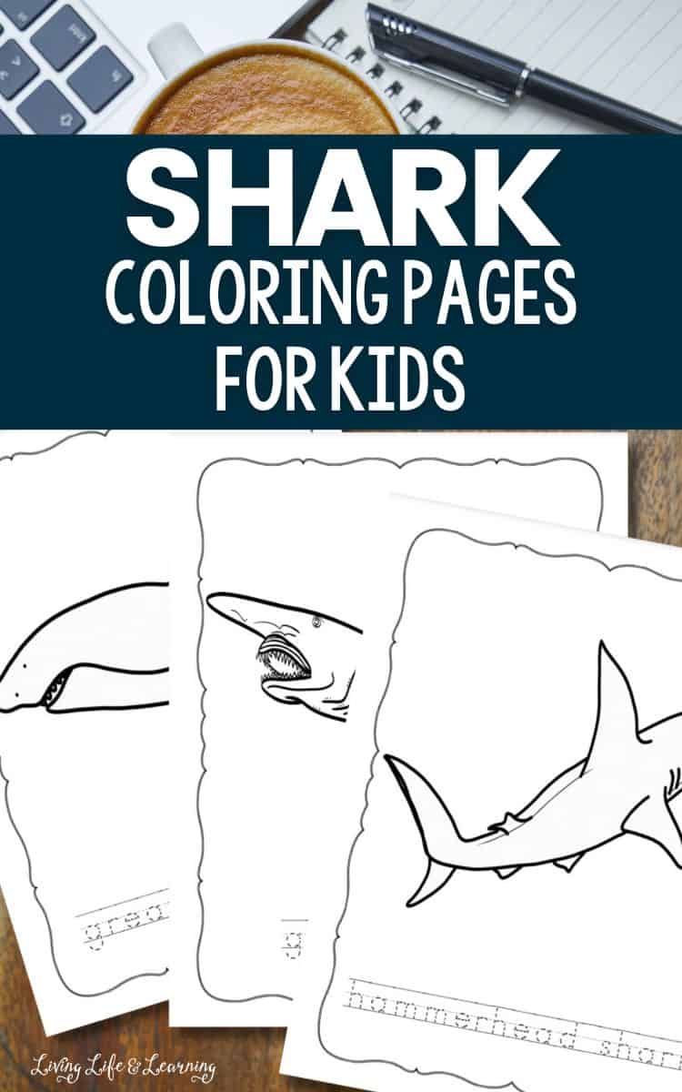 Shark coloring pages for kids