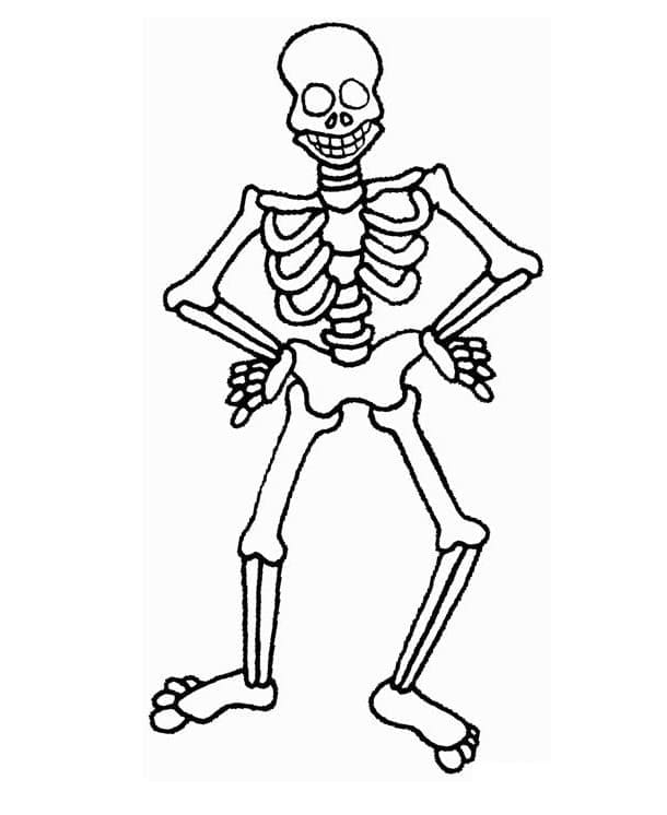 Skeleton coloring pages