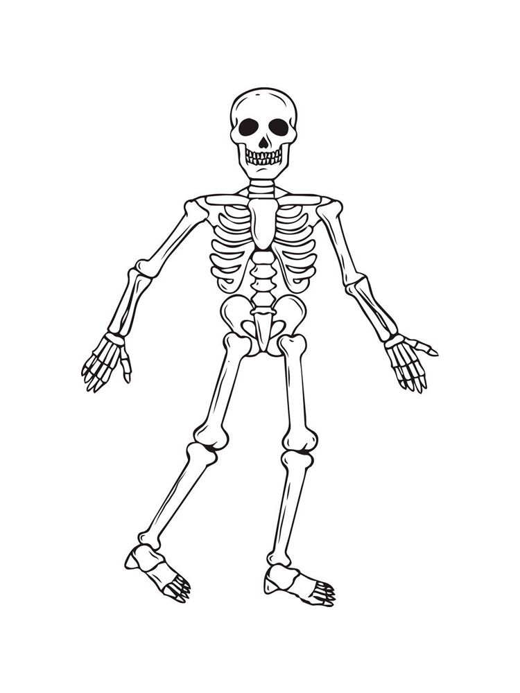 Free printable skeleton coloring pages for kids