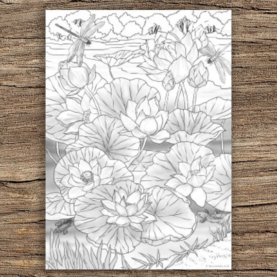 Water lilies printable adult coloring page from favoreads coloring book pages for adults and kids coloring sheets colouring designs