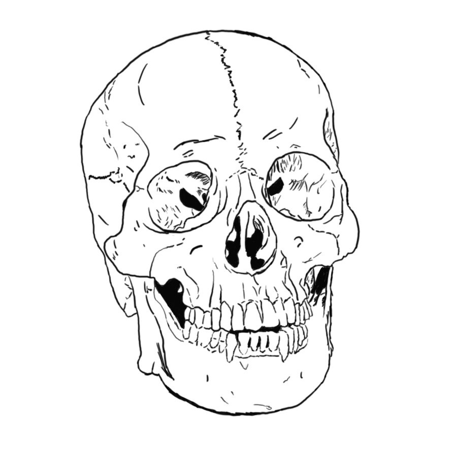 Free printable skull coloring pages for kids