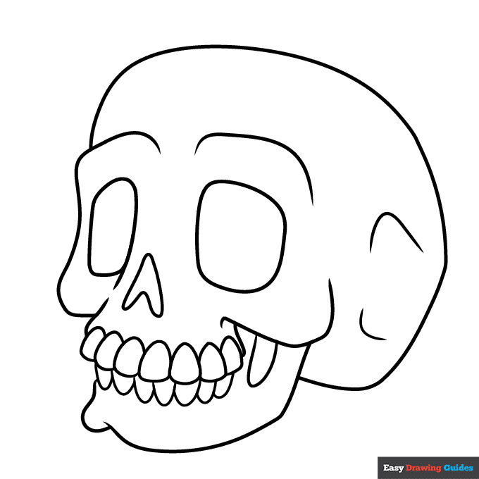 Free printable skull coloring pages for kids