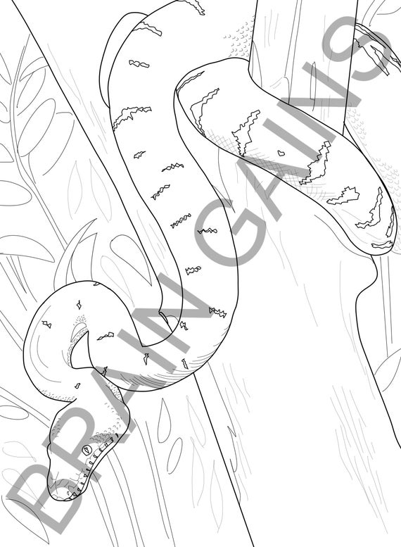 Snake coloring page digital download printable reptiles