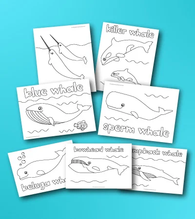 Awesome whale coloring pages for kids