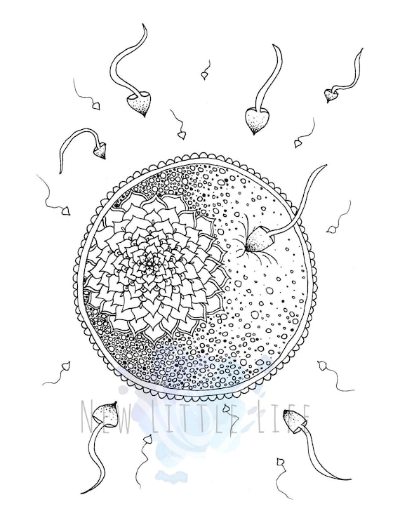 Pregnancy coloring page digital download birth art adult coloring birth affirmations coloring page sperm egg fertilization instant download