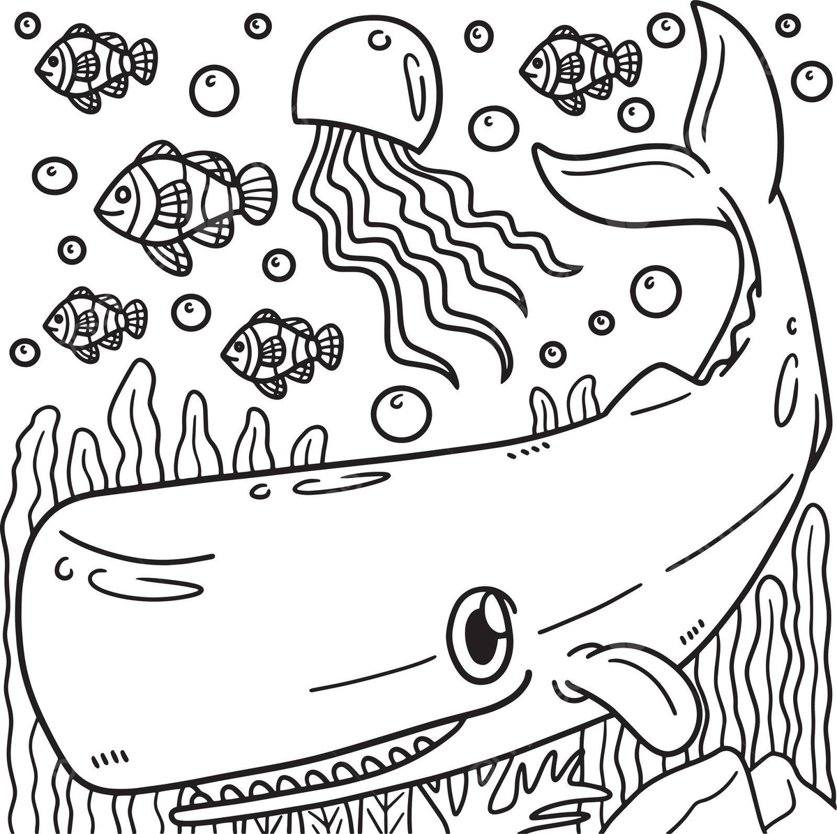 Sperm whale coloring page for kids character design coloring book vector character design coloring book png and vector with transparent background for free download
