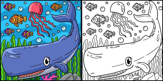 Premium vector sperm whale coloring page colored illustration