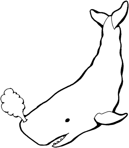 Sperm whale coloring page free printable coloring pages