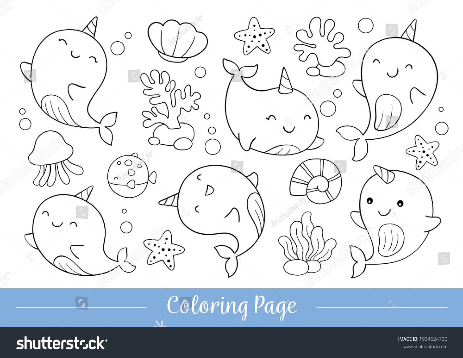 Narwhal colouring images stock photos d objects vectors