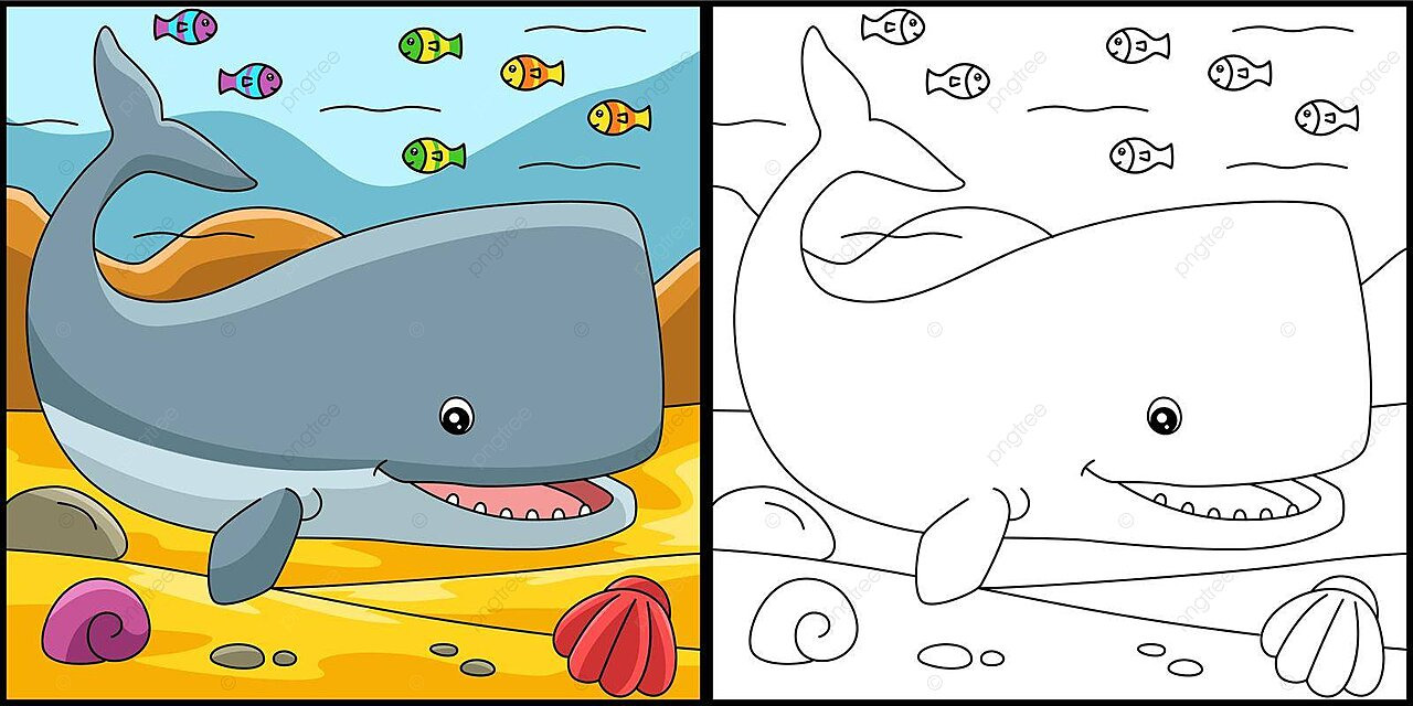 Sperm whale coloring page illustration coloring book toddler picture vector book drawing whale drawing rat drawing png and vector with transparent background for free download