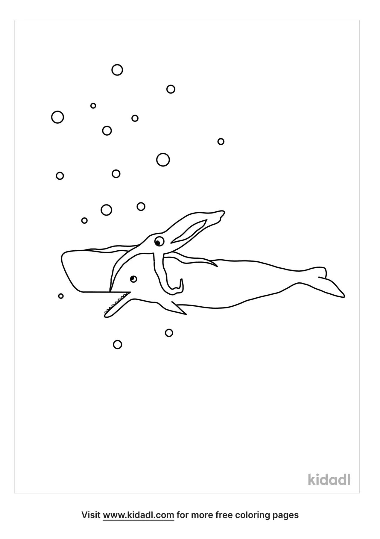 Free sperm whale squid coloring page coloring page printables