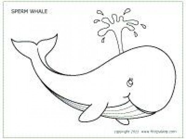 Pin by kellam mcmichael on embroidery whale coloring pages coloring pages sea animal crafts