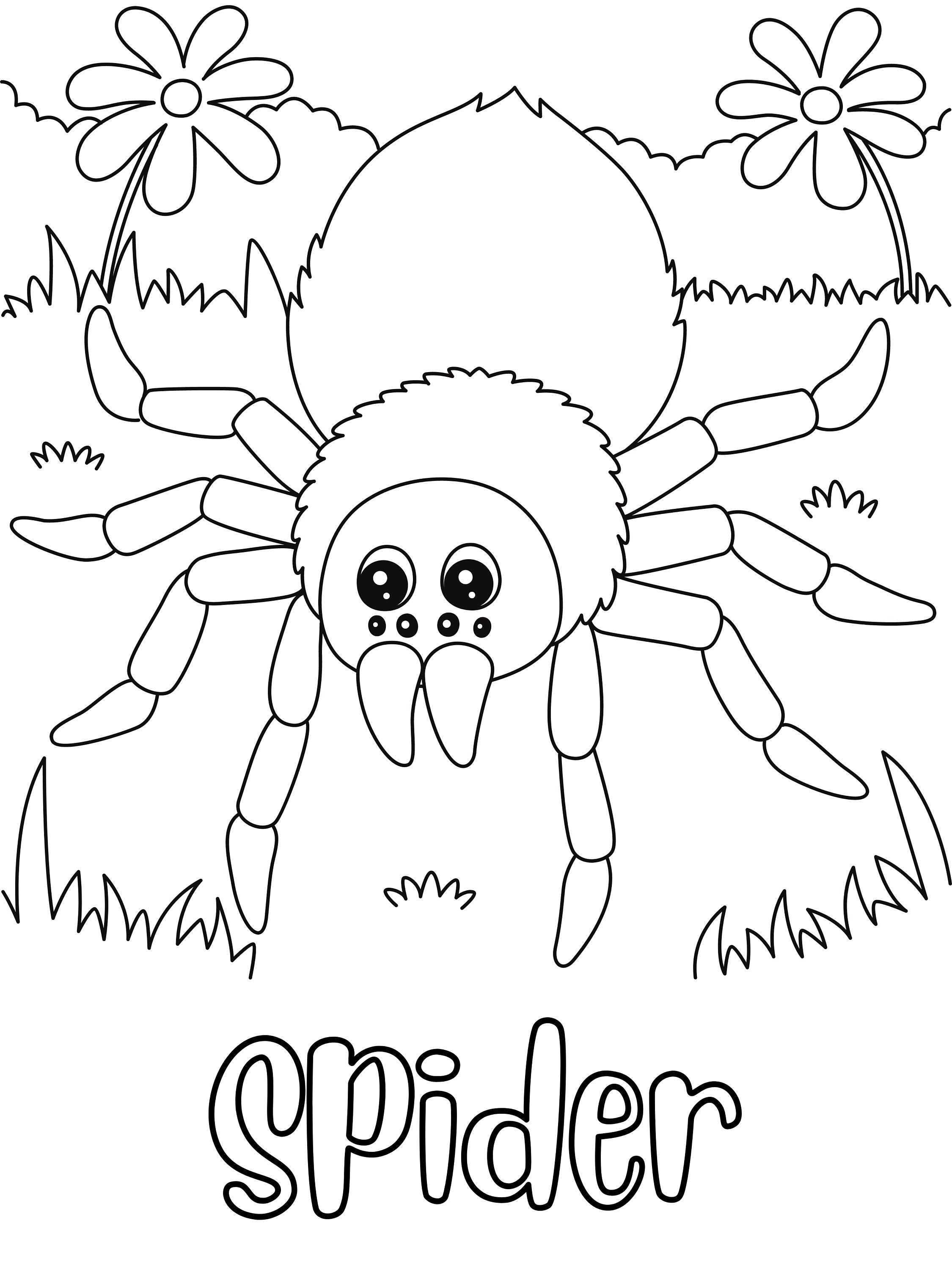 Spider coloring page digital download printable coloring page