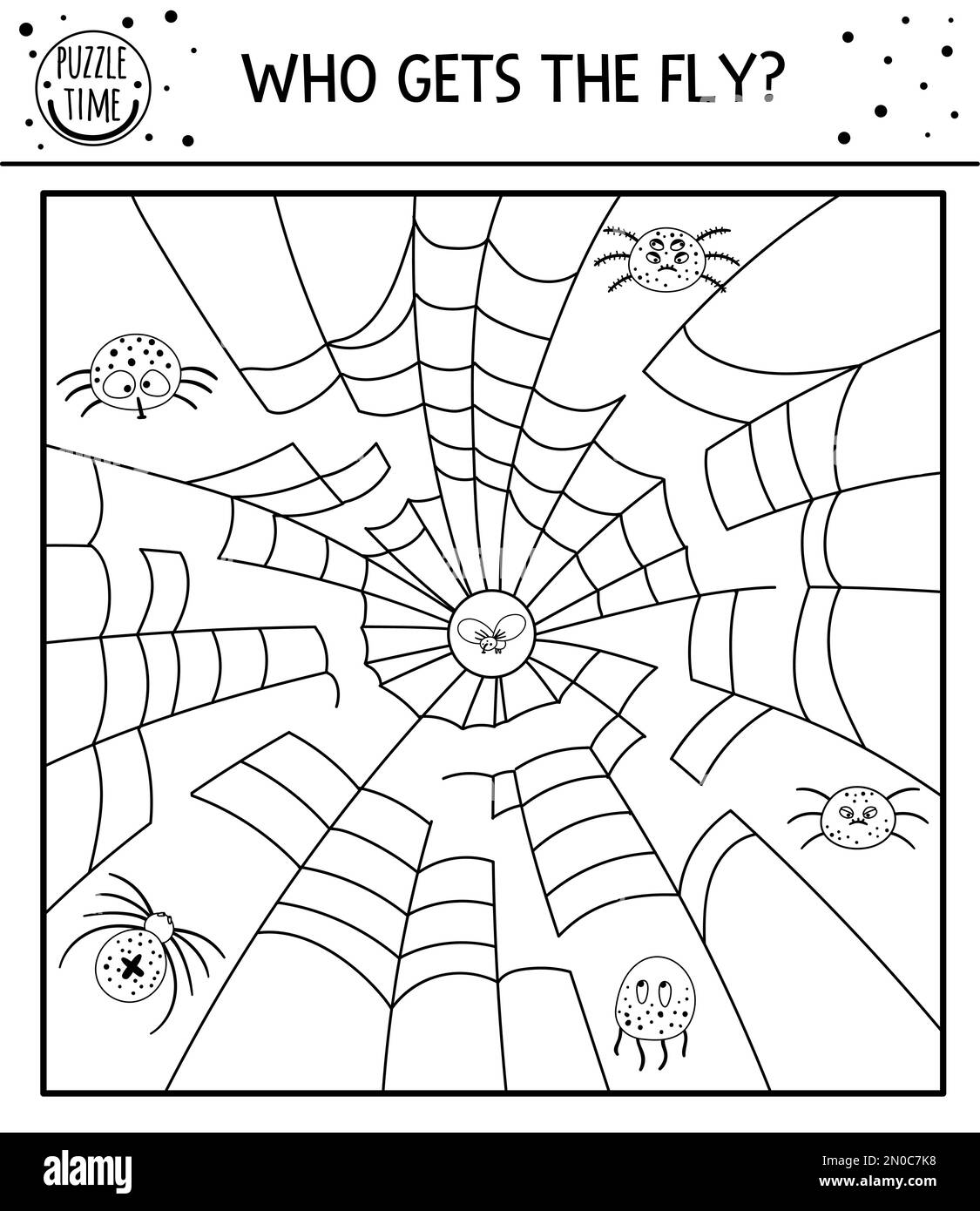 Labyrinth spiders cut out stock images pictures