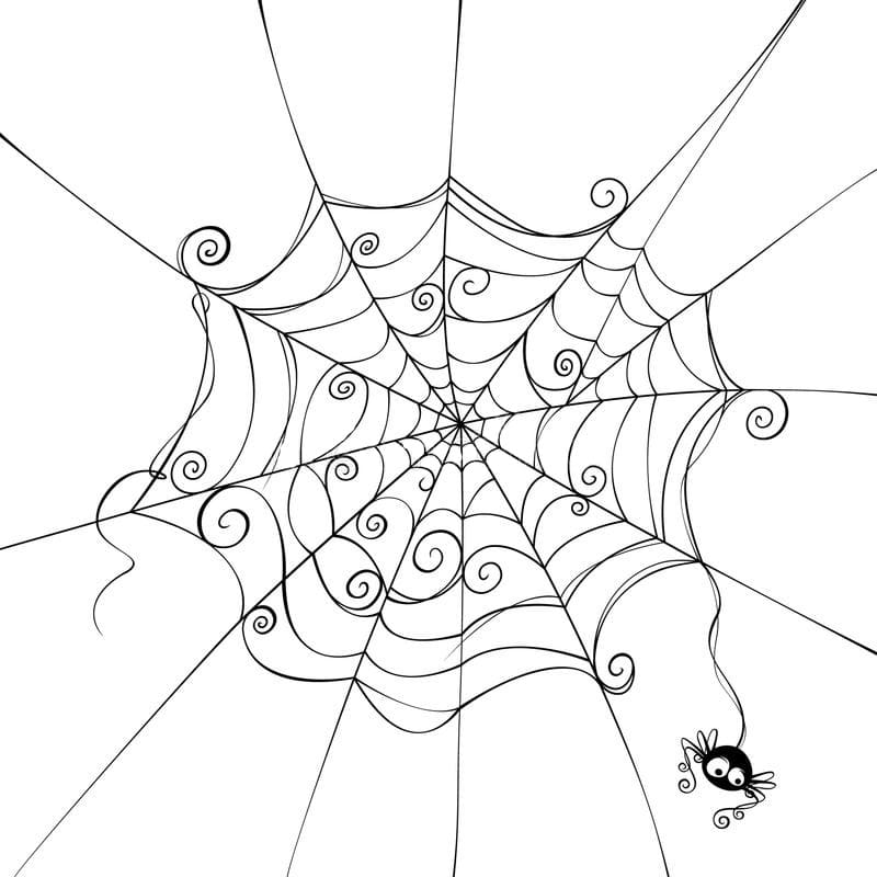 Spider web coloring pages pictures for halloween free printable