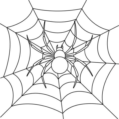 Spider on web coloring page free printable coloring pages