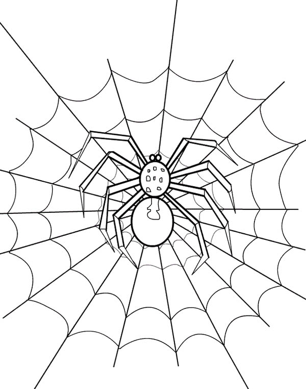 Sper web coloring page sper coloring page coloring pages printable coloring pages