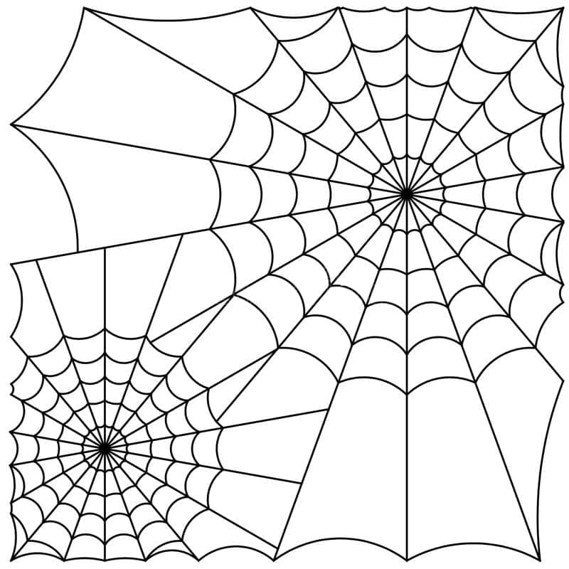Spider webs image coloring page