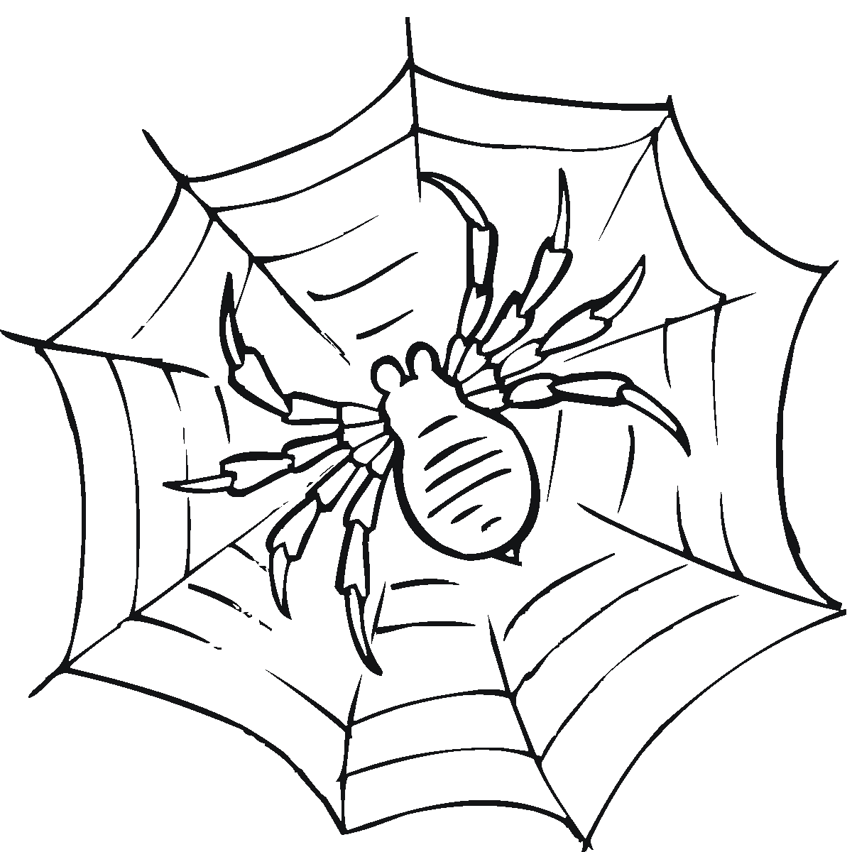 Free printable spider web coloring pages for kids