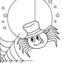 Spider coloring pages