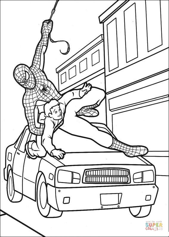 Spider