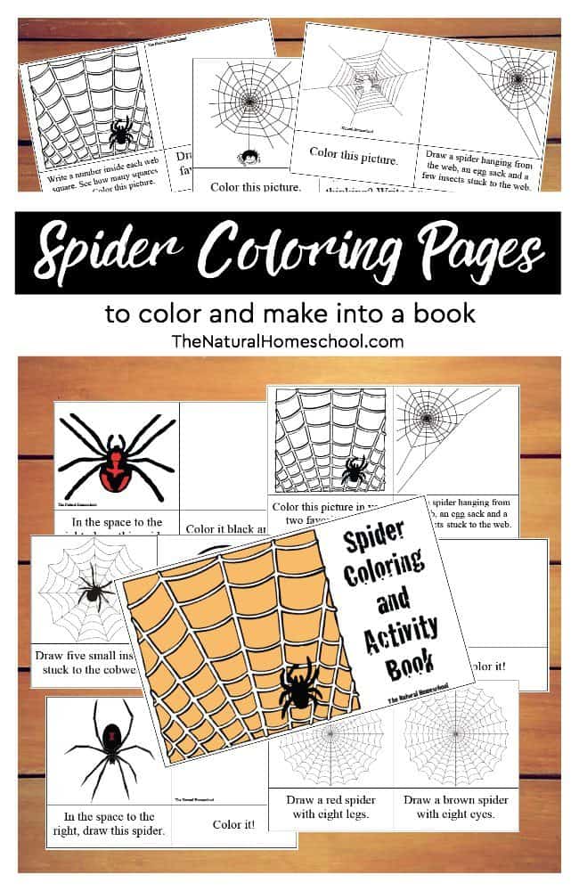 Printable spider coloring pages to color make into a book