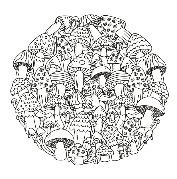 Cute and playful patterns coloring book spiral edition â young dreamers press