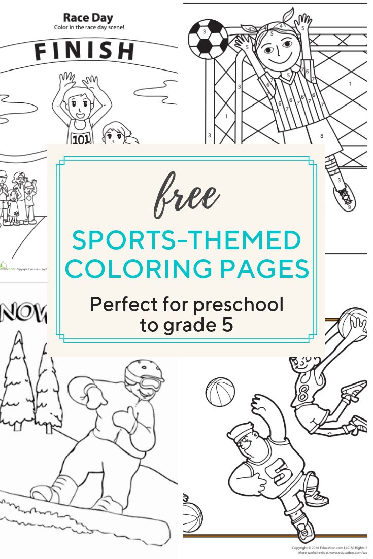Access more than a hundred sports