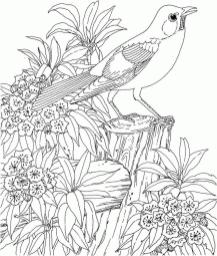 Free printable spring adult coloring pages