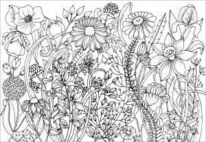 Spring